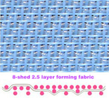 16-shed two and a half layer polyester forming fabric (cxw602516-2)