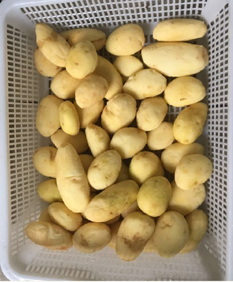 Potato Peeler - Full Stainless Steel Body, Timer Device, Waterproof Structure, for Potato/Onion Peeling & Seafood Shell Washing